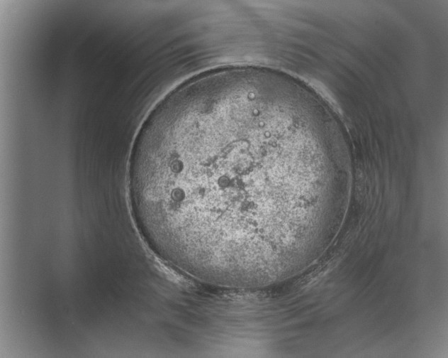 X0000073840895200608241014