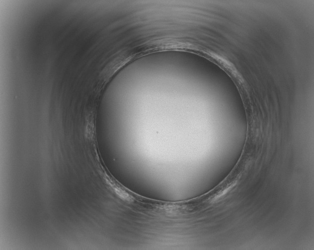 X0000073840897200608241014