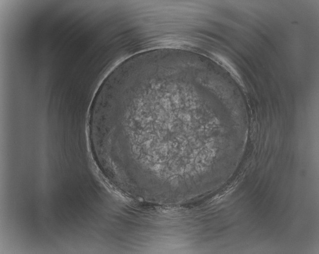 X0000073840899200608241014