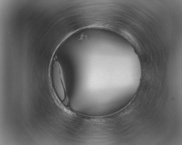 X0000073840900200608241014