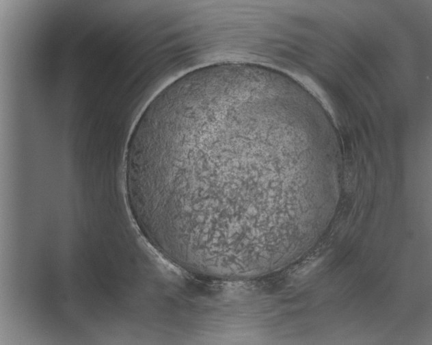 X0000073840903200608241013