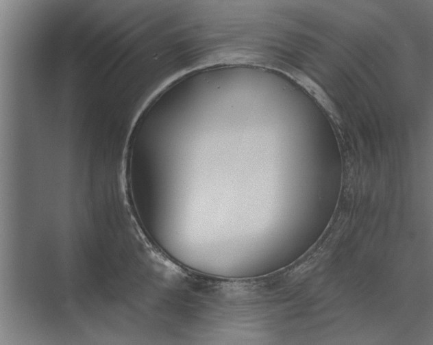 X0000073840904200608241013