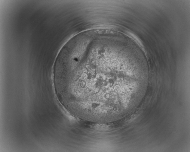 X0000073840907200608241013