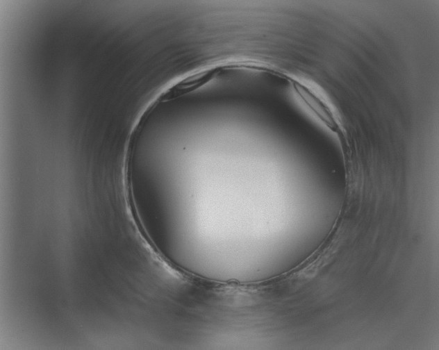 X0000073840910200608241013