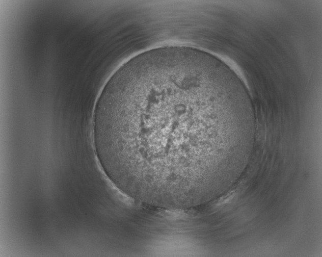 X0000073840911200608241013