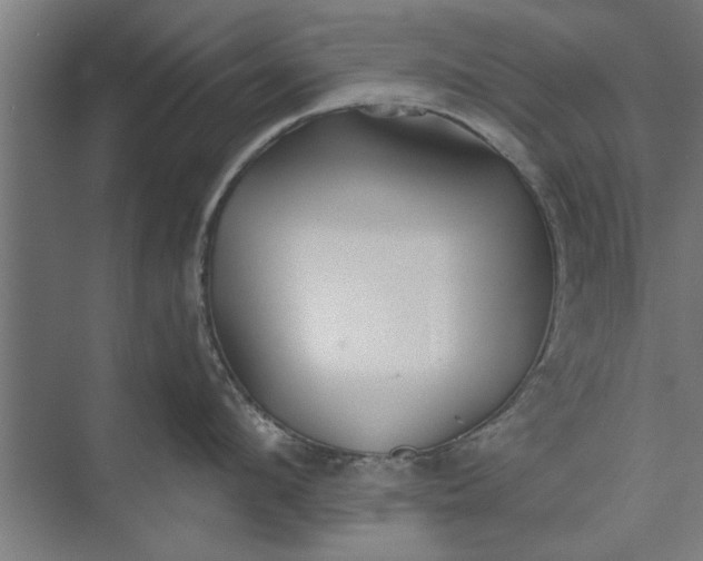 X0000073840912200608241013