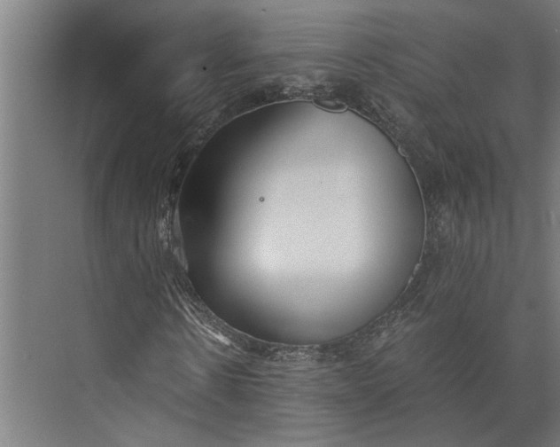 X0000073840914200608241013