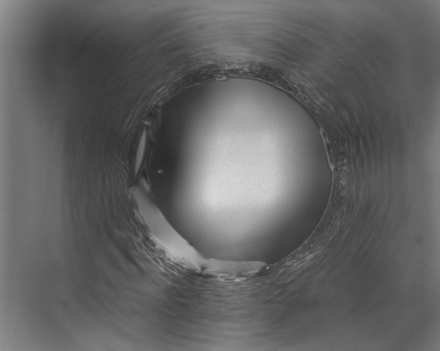 X0000073840916200608241013