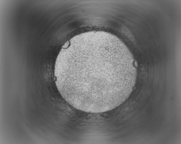 X0000073840918200608241013