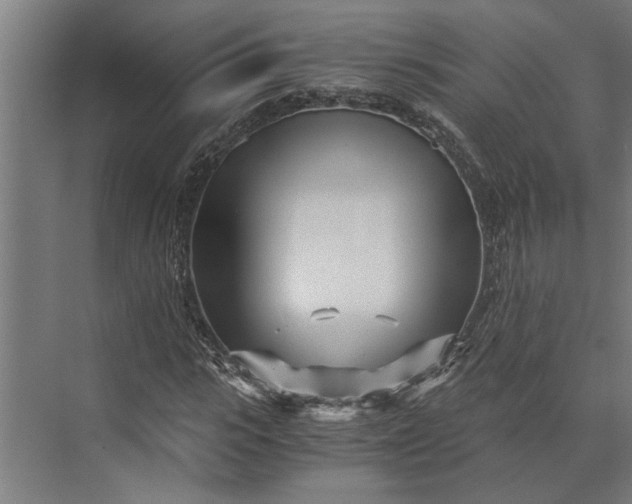 X0000073840919200608241013