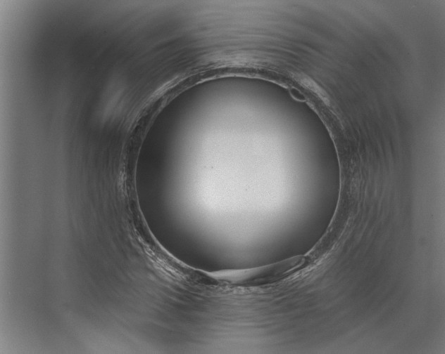 X0000073840922200608241013