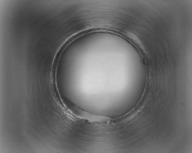 X0000073840924200608241013