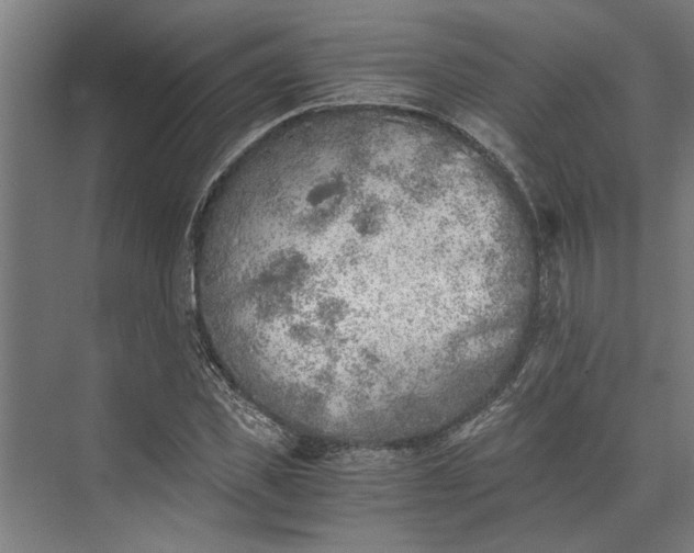 X0000073840925200608241013