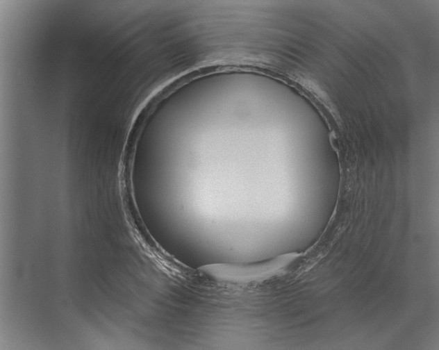 X0000073840928200608241013