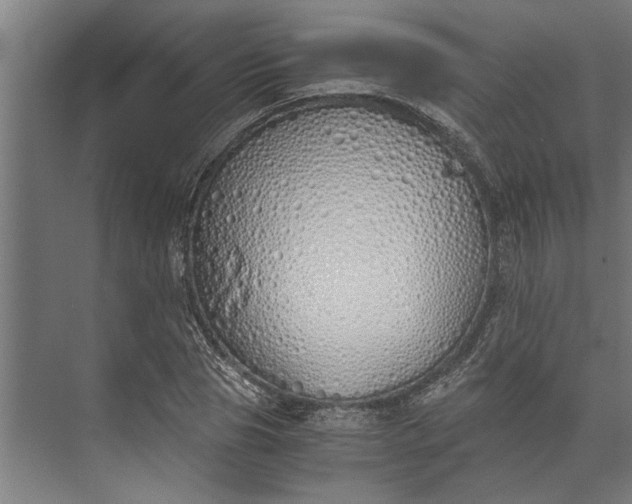 X0000073840929200608241013