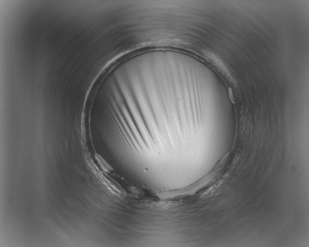 X0000073840932200608241013