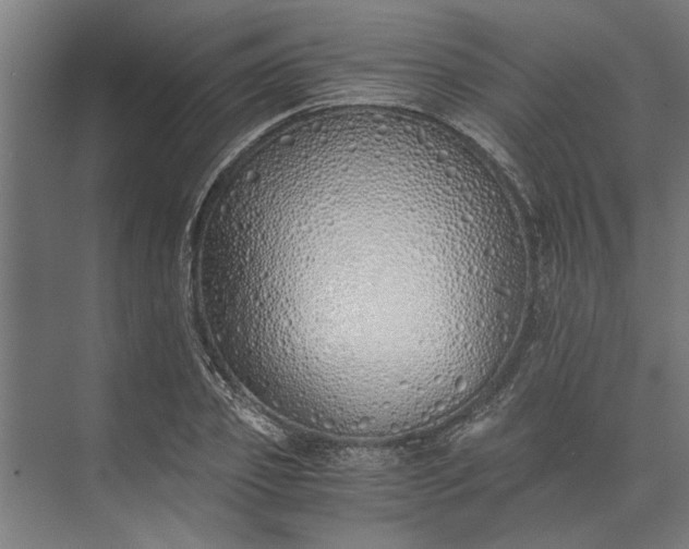 X0000073840933200608241013