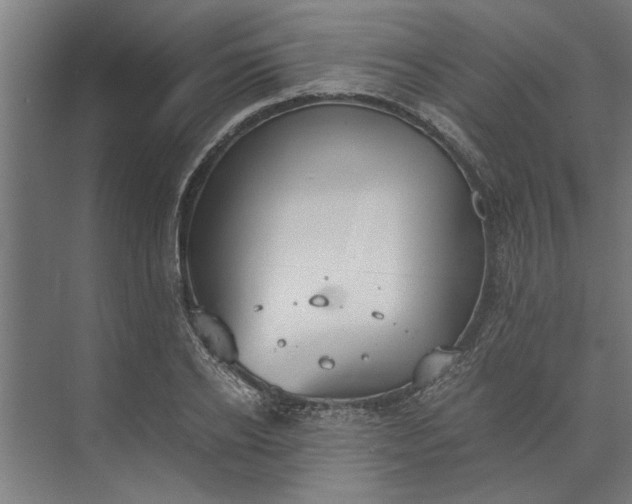 X0000073840934200608241013