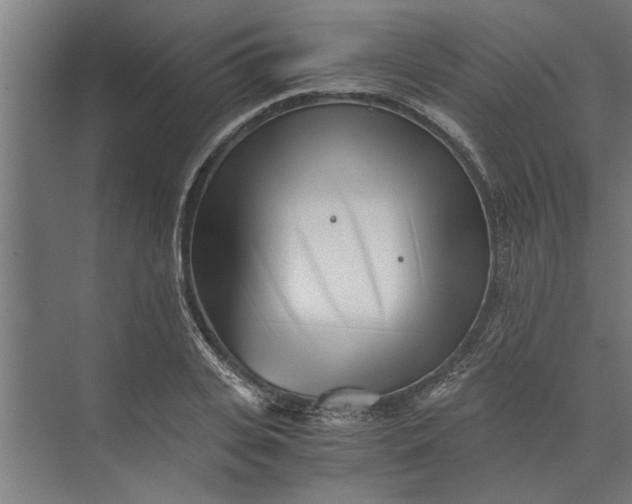 X0000073840935200608241013