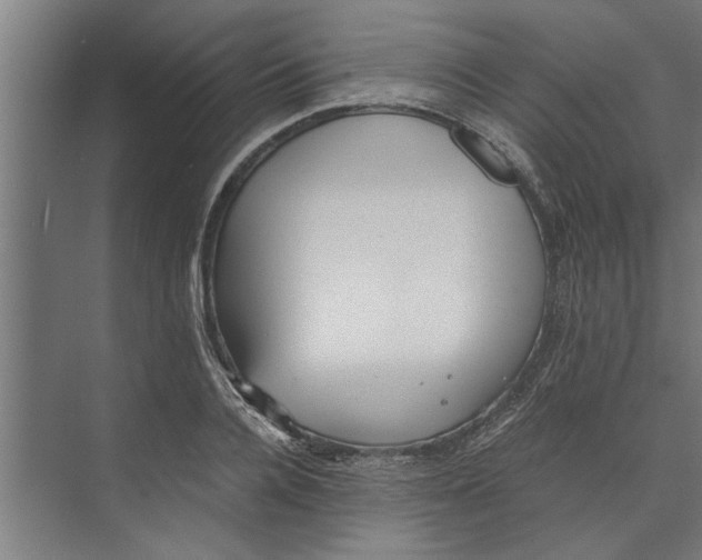 X0000073840936200608241013