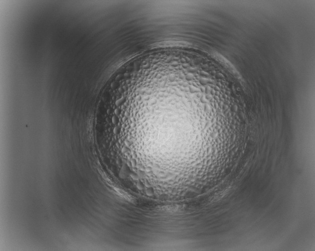 X0000073840937200608241013