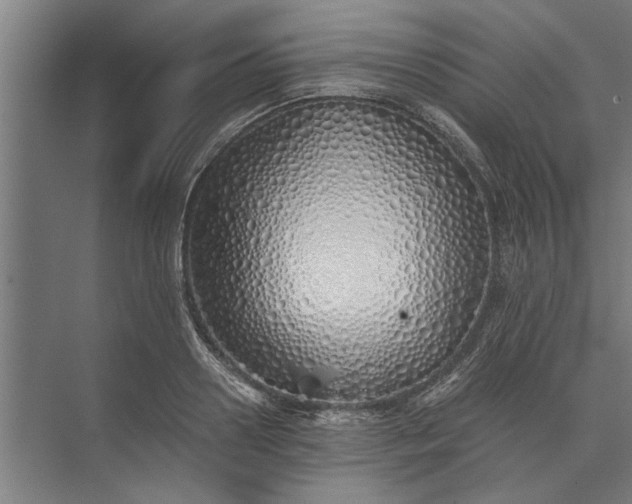 X0000073840938200608241013