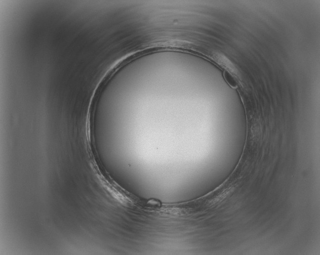 X0000073840940200608241013