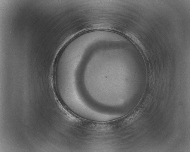 X0000073840941200608241013