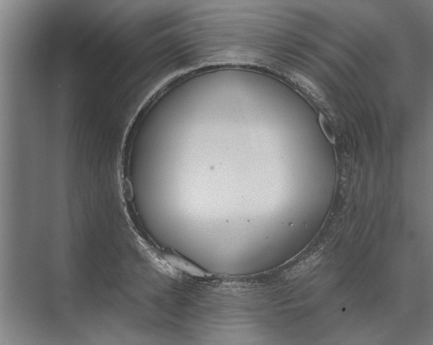 X0000073840942200608241013