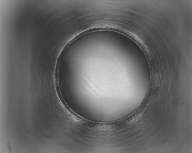 X0000073840943200608241013