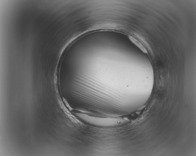 X0000073840944200608241013