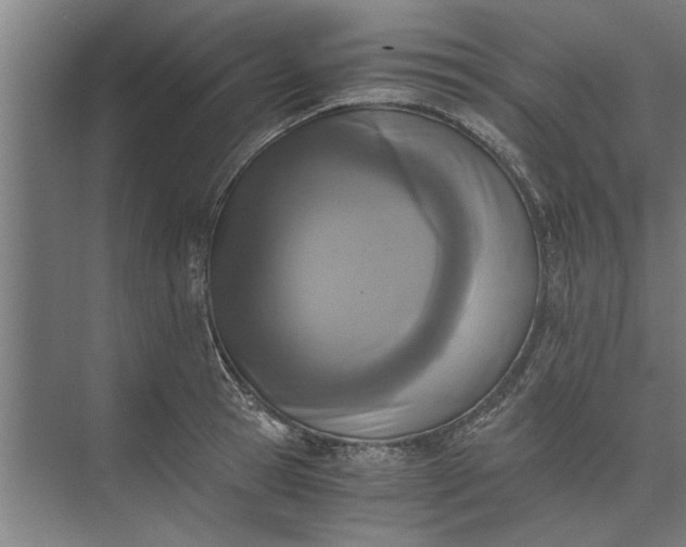 X0000073840945200608241013