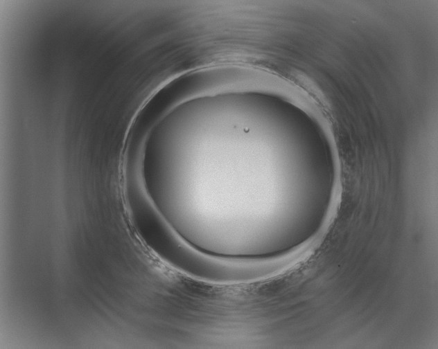 X0000073840948200608241013