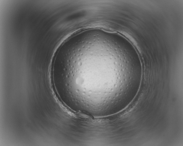 X0000073840949200608241013