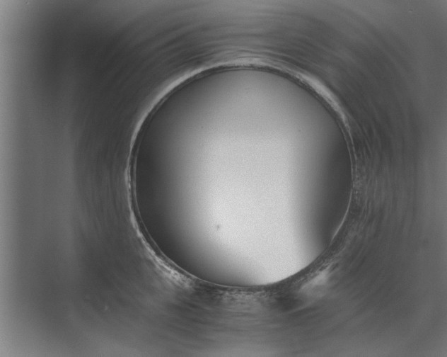 X0000073840951200608241013