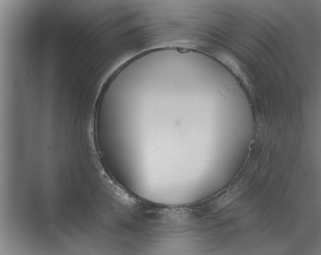 X0000073840952200608241013