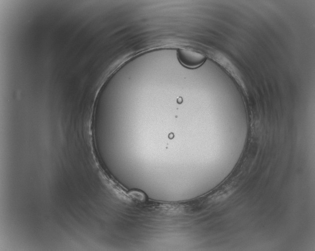 X0000073840954200608241013