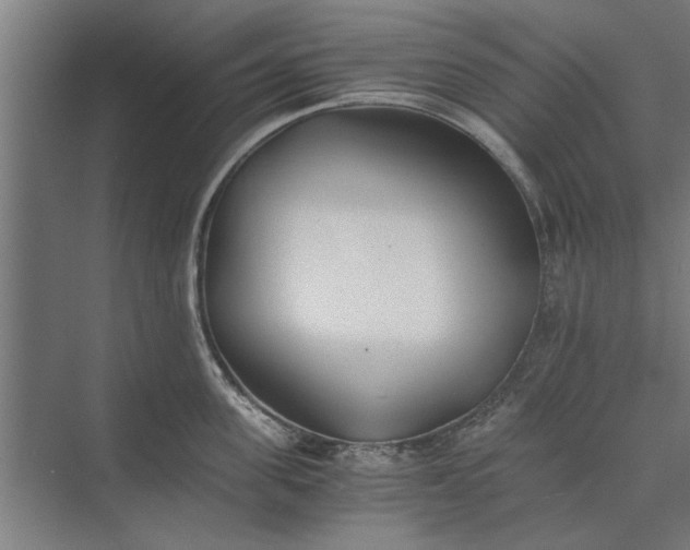 X0000073840955200608241013