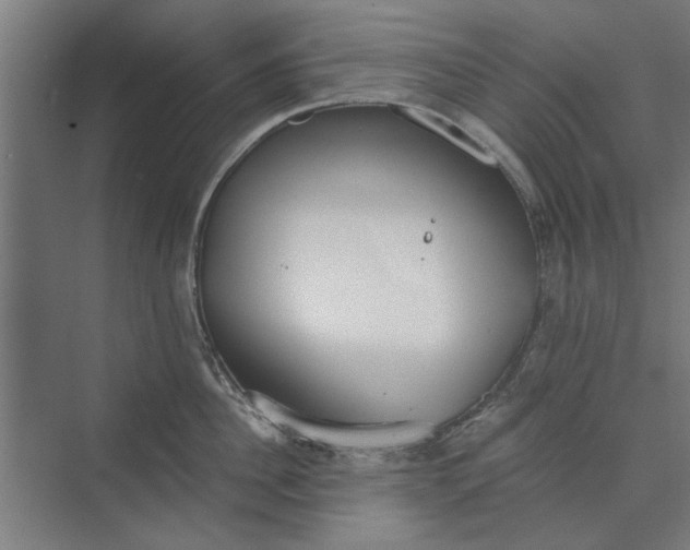 X0000073840956200608241013