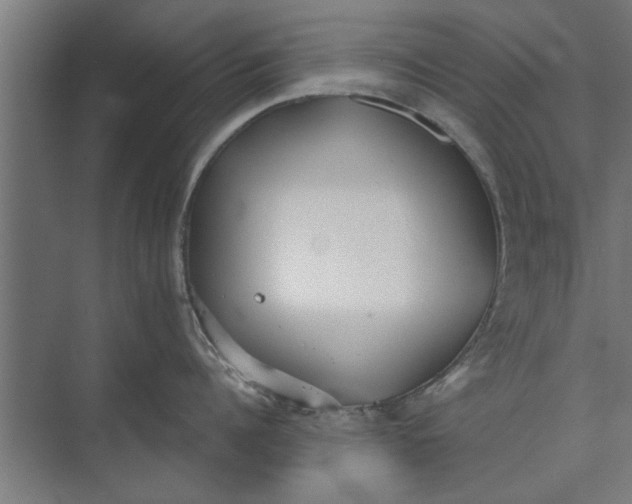 X0000073840960200608241013