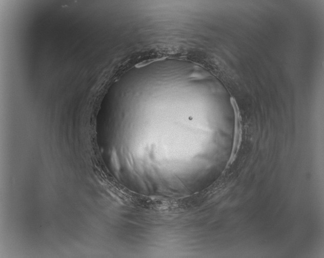 X0000073840961200608241012