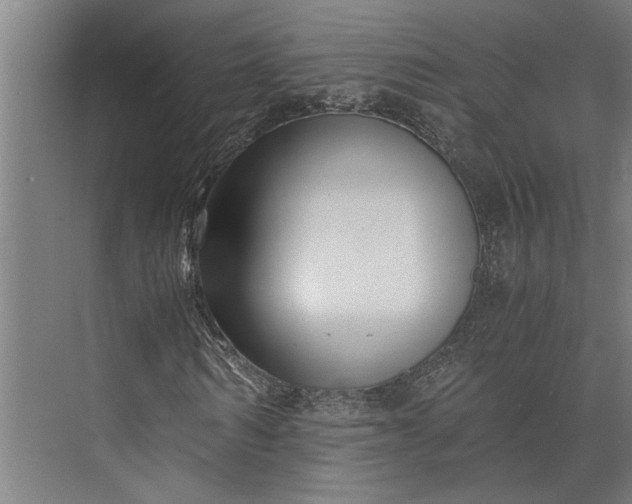 X0000073840962200608241012