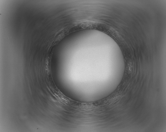 X0000073840964200608241012