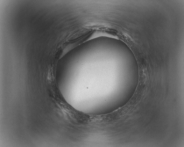 X0000073840965200608241012