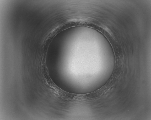 X0000073840967200608241012