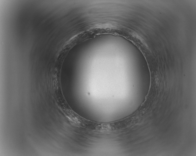 X0000073840968200608241012