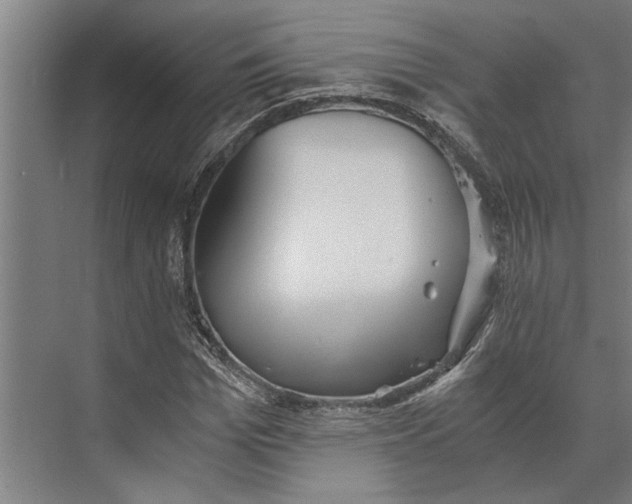 X0000073840969200608241012