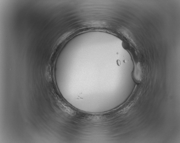 X0000073840970200608241012