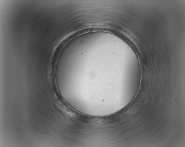 X0000073840971200608241012