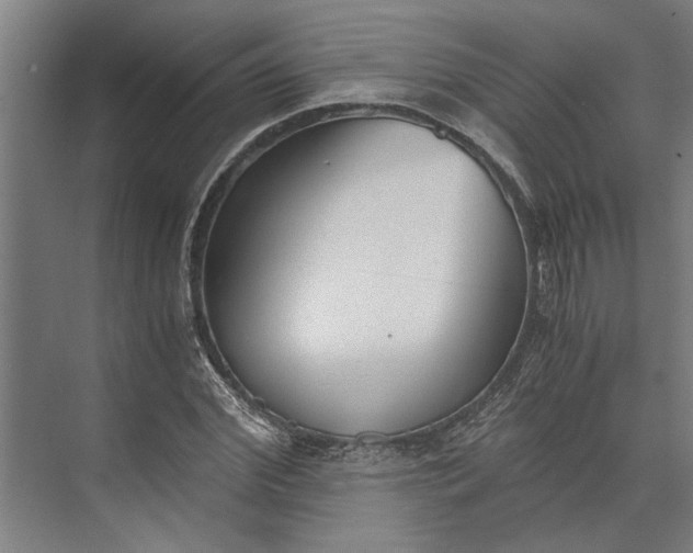 X0000073840972200608241012